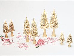 5 Rillenbäume / 9 cm
